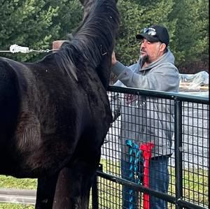 Meet your Posher, Colin